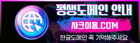평생도메인